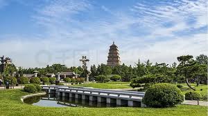 艾弗森ballbet 外国人评论的中国城市绿化