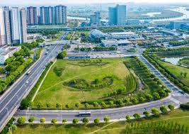 贝博中国 小学城市绿化手抄报内容